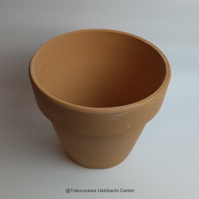 洋蘭 素焼き鉢 6．0号 6枚 板倉製陶