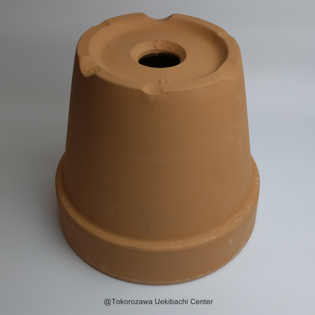 洋蘭 素焼き鉢 6．0号 6枚 板倉製陶