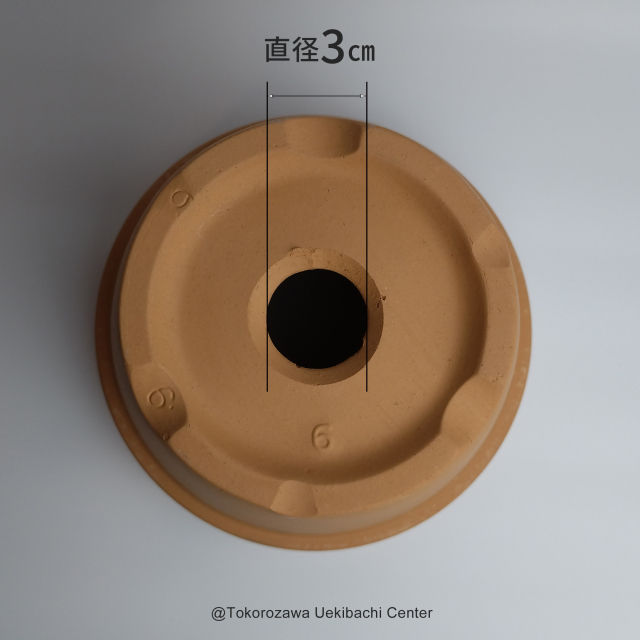 洋蘭 素焼き鉢 6．0号 6枚 板倉製陶