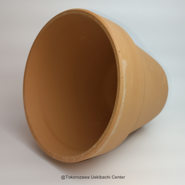 洋蘭 素焼き鉢 6．0号 6枚 板倉製陶