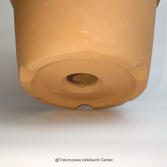 洋蘭 素焼き鉢 6．0号 6枚 板倉製陶