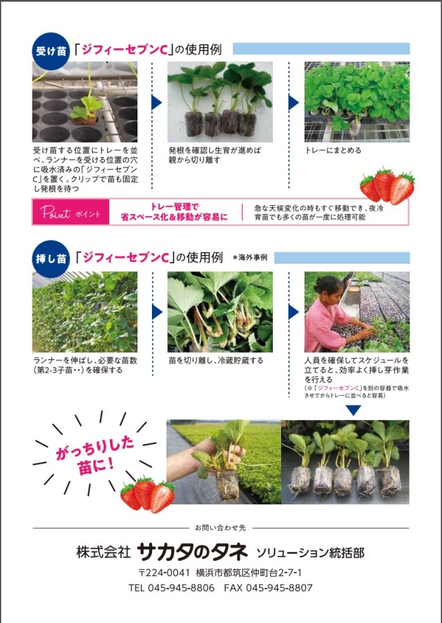 開封済 PHILTRE 7個セット 縫合糸 :: ブイゾーブ :: VSORB ブイゾーブ(紫7-0 15cm/弱弯新平