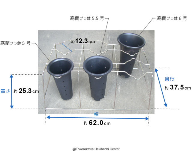 寒蘭専用 蘭掛け 5-6号用 6個掛け 寒蘭 掛