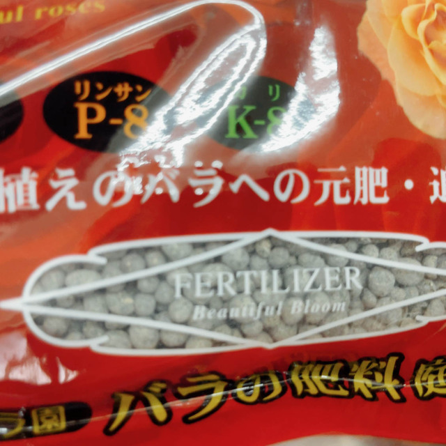 どんばら HOW'z | ショップ詳細 | 東急プラザ原宿「ハラカド」