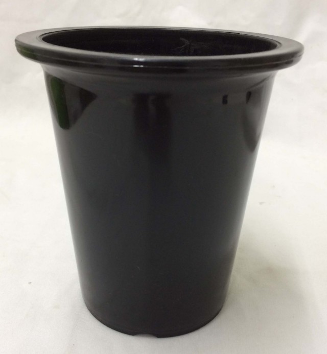 ４寸懸崖　（黒）　大　10個セット　多肉植物　サボテン　洋蘭