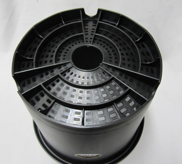 菊 プラ鉢 国華園製 10号