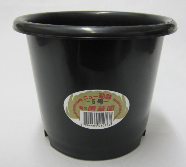 菊　プラ鉢　国華園製　5号