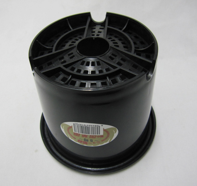 菊 プラ鉢 国華園製 5号