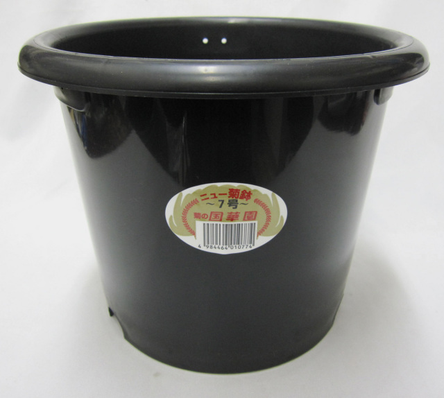 菊 プラ鉢 国華園製 7号