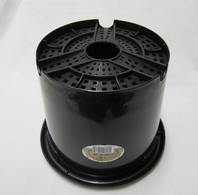 菊 プラ鉢 国華園製 7号