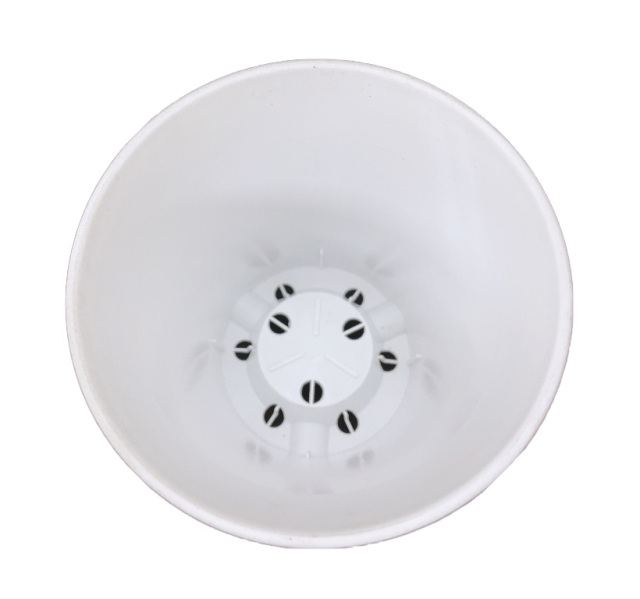 蘭鉢　落鑑有り 黒燻蘭鉢・L | t.roots