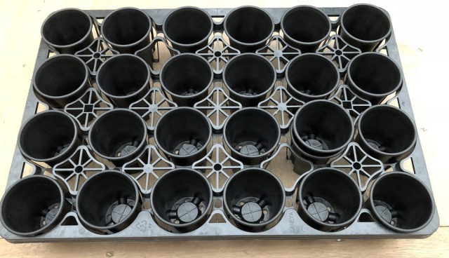 ミニ蘭鉢 黒（ブラック）プラ鉢 2.5号 10個 ミニラン鉢