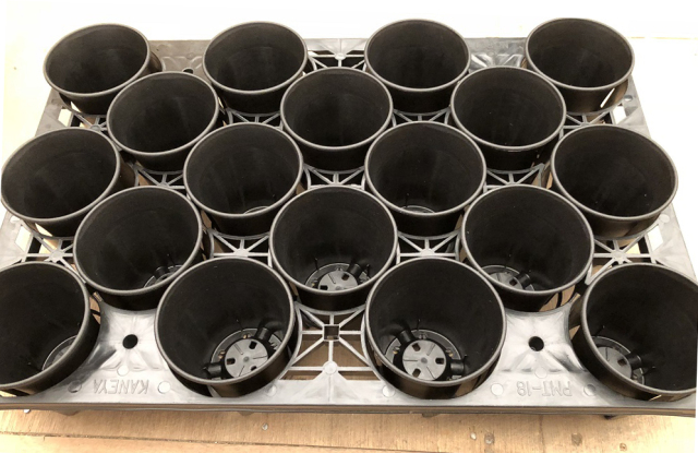 ミニ蘭鉢 黒（ブラック）プラ鉢 3号 10個 ミニラン鉢 