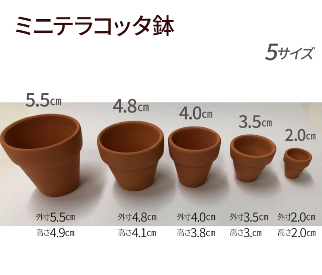 ミニテラコッタ鉢