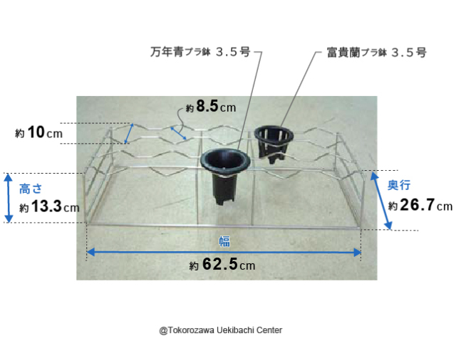 万年青鉢　白龍柄　2個 World's smallest 別製・ミニ京樂錦鉢【龍図万年青鉢】 - 東洋蘭