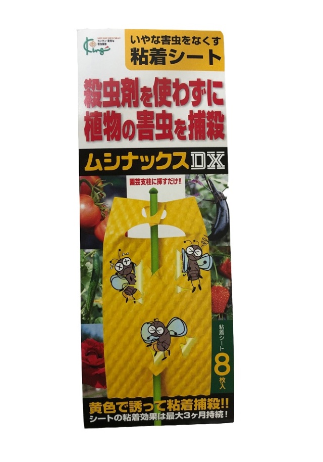 消しゴ虫　です 消しゴ虫 です シークレット消しゴム 昆虫ずかん ｜ ミスター