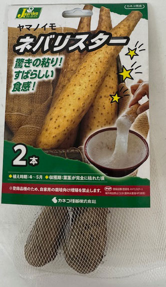 クローバーの苗 G ・Rセット☆ネコポス便発送！ 楽天市場】クローバー