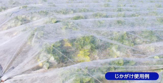 パオパオ90 不織布 べたがけ 長さ200Mｘ幅180ｃｍ 保温用資材 霜よけ 虫よけ メーカー直送品　