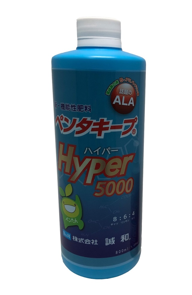 【送料無料】 ペンタキープ Ｈｙｐｅｒ5000 1.05kg（800ｍｌ） ALA 配合