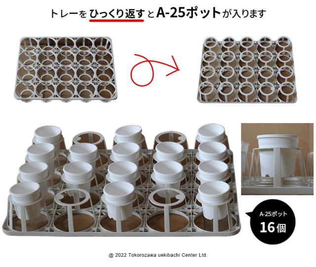 トレー 20穴 PMT-20 白（ホワイト） プラスチックトレイ 多肉