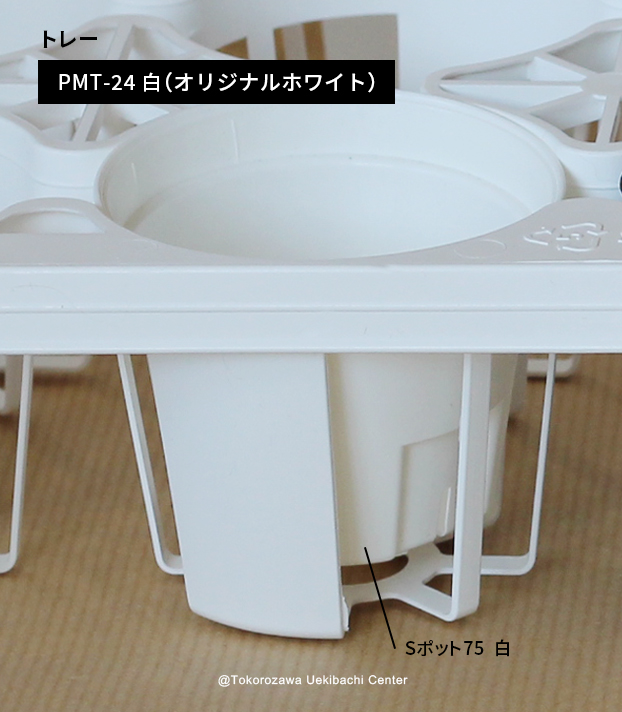 Sポット75　白　24個セット + 専用トレー　PMT-24白（ホワイト）　付き
