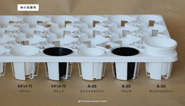 トレー　24穴　PMT-24　白（ホワイト）　プラスチックトレイ