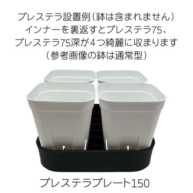 プレステラプレート150 黒（ブラック) NIPPORI/R3LABO