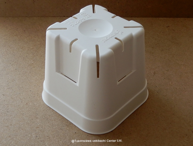 プレステラ ポット 鉢 ポリ鉢スリット鉢　105型　ホワイト　多肉　200個入り 10個セット】プレステラ105型（白/ホワイト） スリット鉢