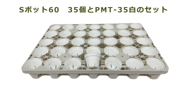 Sポット60　白　35個セット + 専用トレー　PMT-35白（ホワイト）　付き　トレーセット 多肉植物 鉢 エケベリア