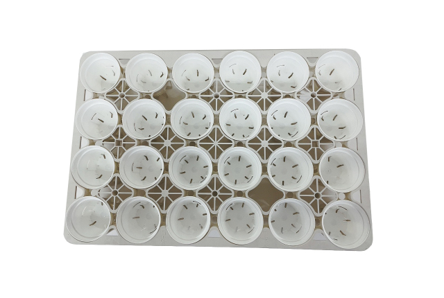 Sポット75 白 24個セット + 専用トレー PMT-24白（ホワイト） 付き