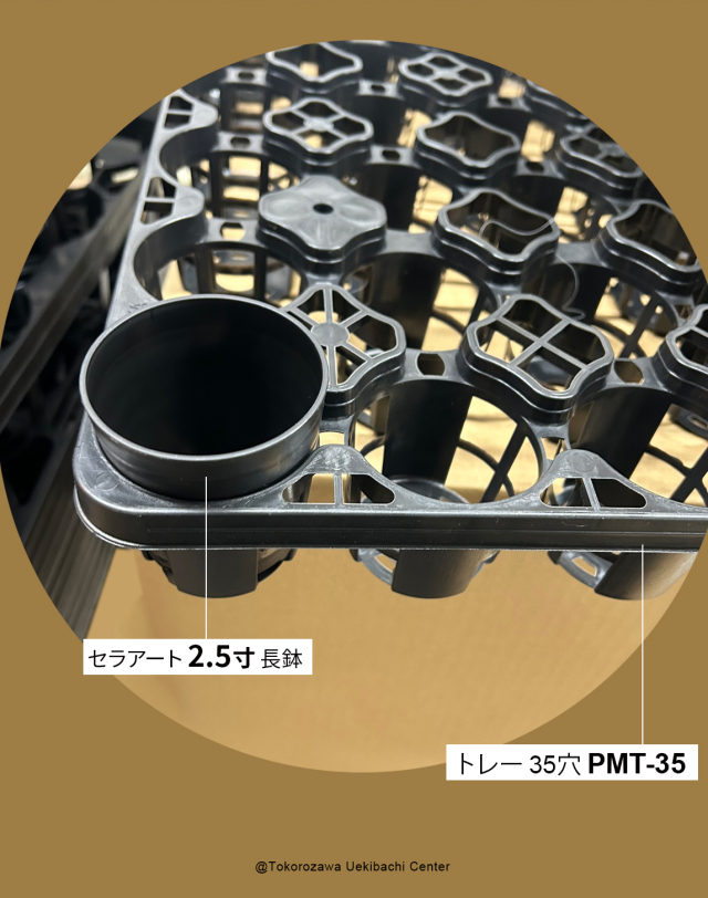 セラアート 2.5寸 長鉢 黒（ブラック) 10個セット プラ鉢
