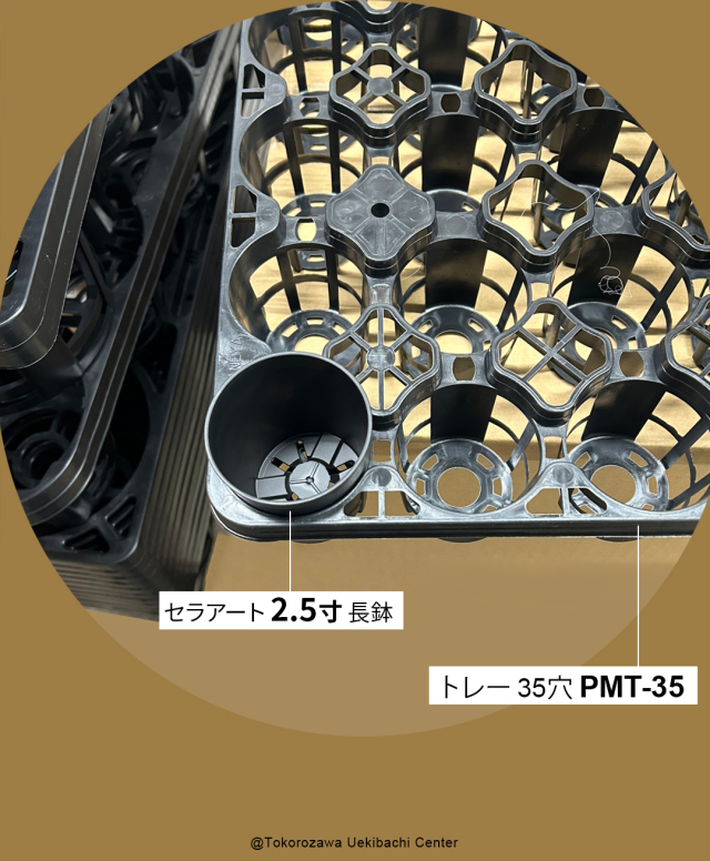セラアート　2.5寸、PMT-35