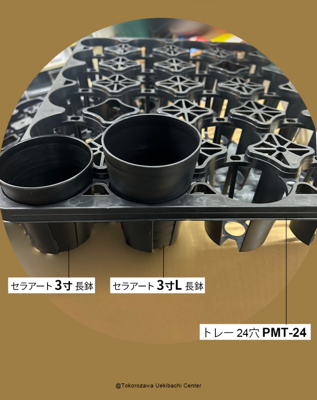 セラアート 3寸 長鉢 黒（ブラック) 10個セット プラ鉢