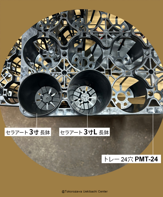 セラアート　3寸L、セラアート　3寸、pmt-24