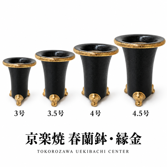 京楽焼 春蘭鉢 縁金｜3号・3.5号・4号・4.5号