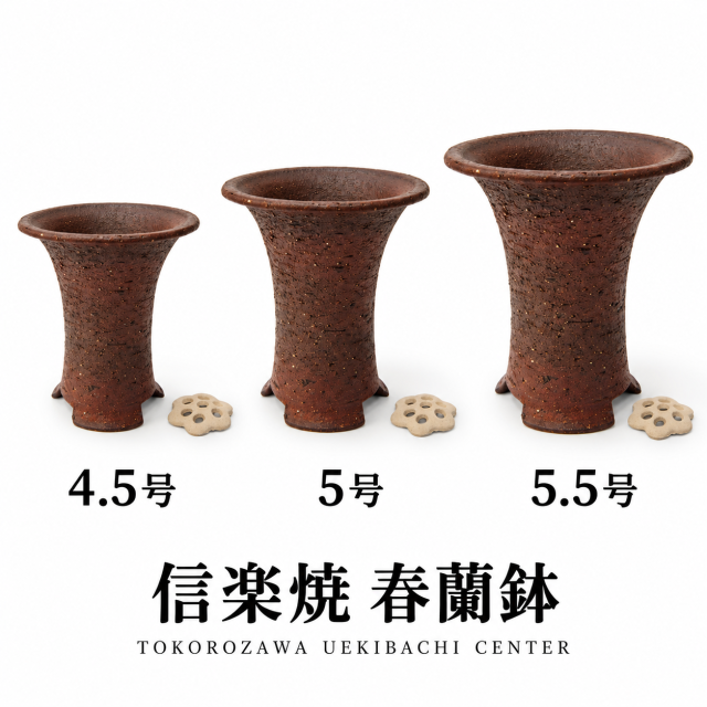 信楽焼 春蘭鉢 岩石胴しぼり｜4.5号・5号・5.5号・サナ付き