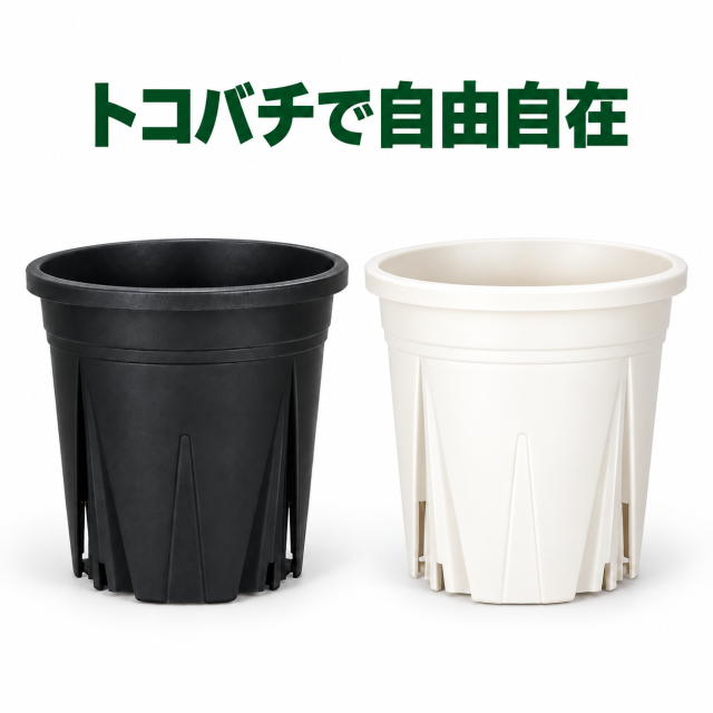 paypay決済用