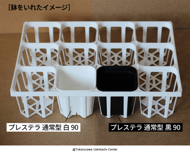 システムトレー　12穴　90CS ハーフ　白（ホワイト）　プレステラ90対応