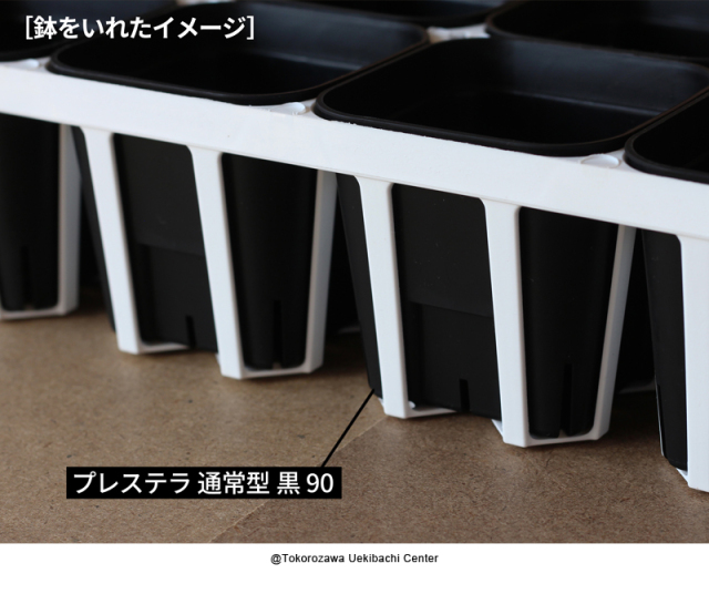 システムトレー　12穴　90CS ハーフ　白（ホワイト）　プレステラ90対応