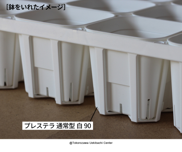 システムトレー　12穴　90CS ハーフ　白（ホワイト）　プレステラ90対応