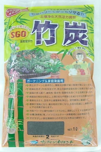 中国春蘭 銘品「光宮」二株一括出品 富貴蘭 万年青 寒蘭