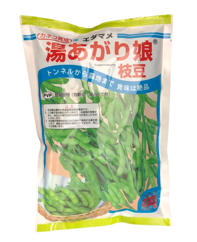 カネコ種苗 種 エダマメ 枝豆 湯あがり娘 2000粒/ネコポス便 送料無料