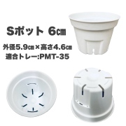 ケース販売　Sポット60　白　6cm スリット鉢　プラ鉢　3000個セット　多肉