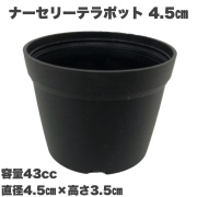 ナーセリーテラポット　4.5ｃｍ　黒　10個セット 多肉植物　サボテン