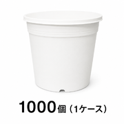 プラ鉢 A-25 白（オリジナルホワイト） 1000個セット 多肉植物 鉢 エケベリア