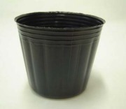ポリポット　6cm　黒　100個 ビニールポット