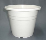 プラ鉢　6PM 18cm　白　３０個セット