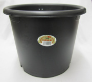 菊　プラ鉢　国華園製　10号