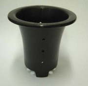 万年青プラ鉢　5.0号