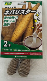 野菜の苗/長芋（ながいも・ヤマノイモ）の種芋　ネバリスター2本入り　カネコ種苗　/　ネコポス便可
